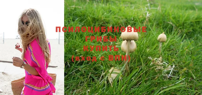 даркнет сайт  Арамиль  Галлюциногенные грибы Cubensis 